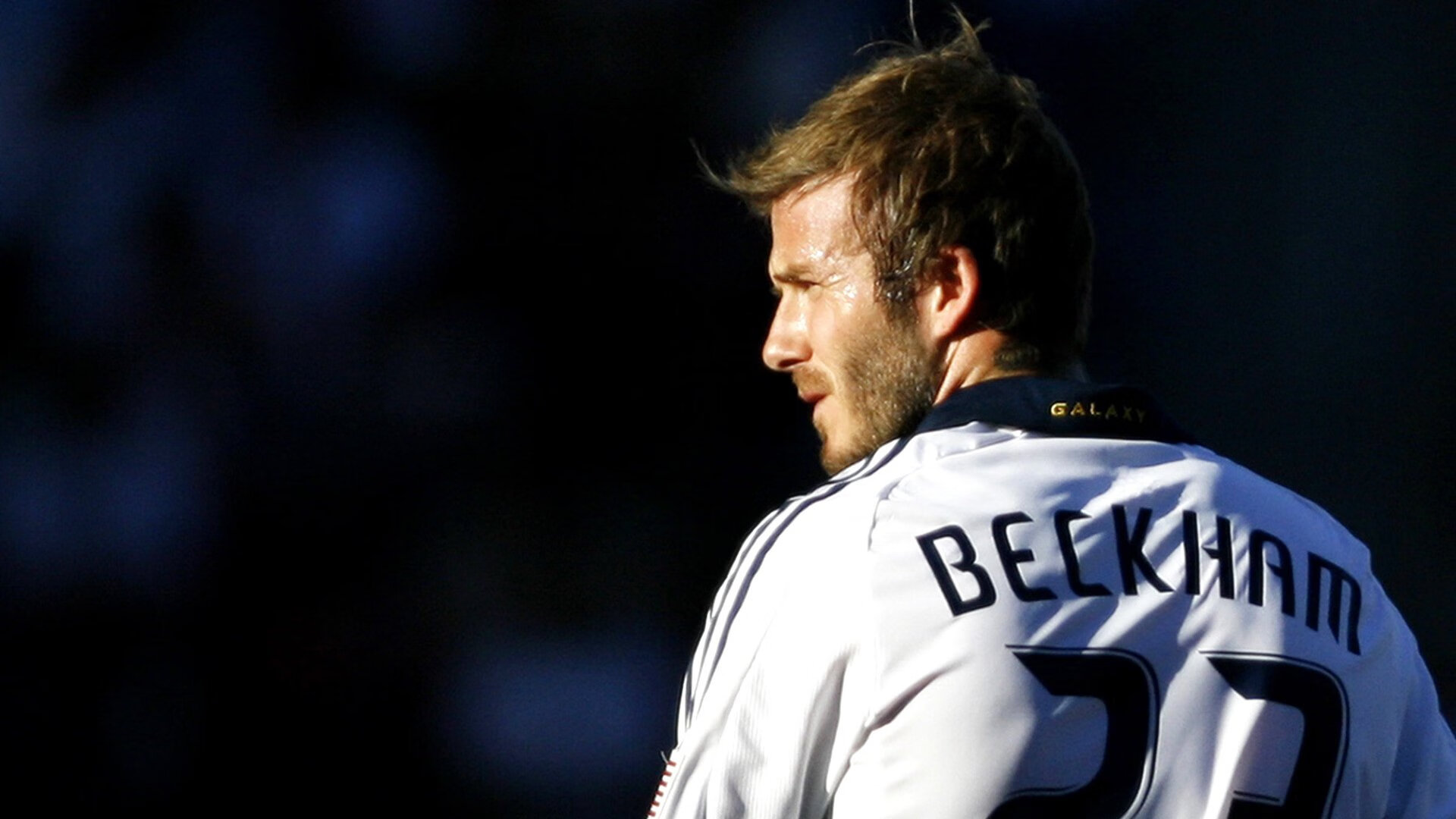 《FIFA》电子竞技联盟年度盛典,粉丝热情高涨,fifa20电竞比赛